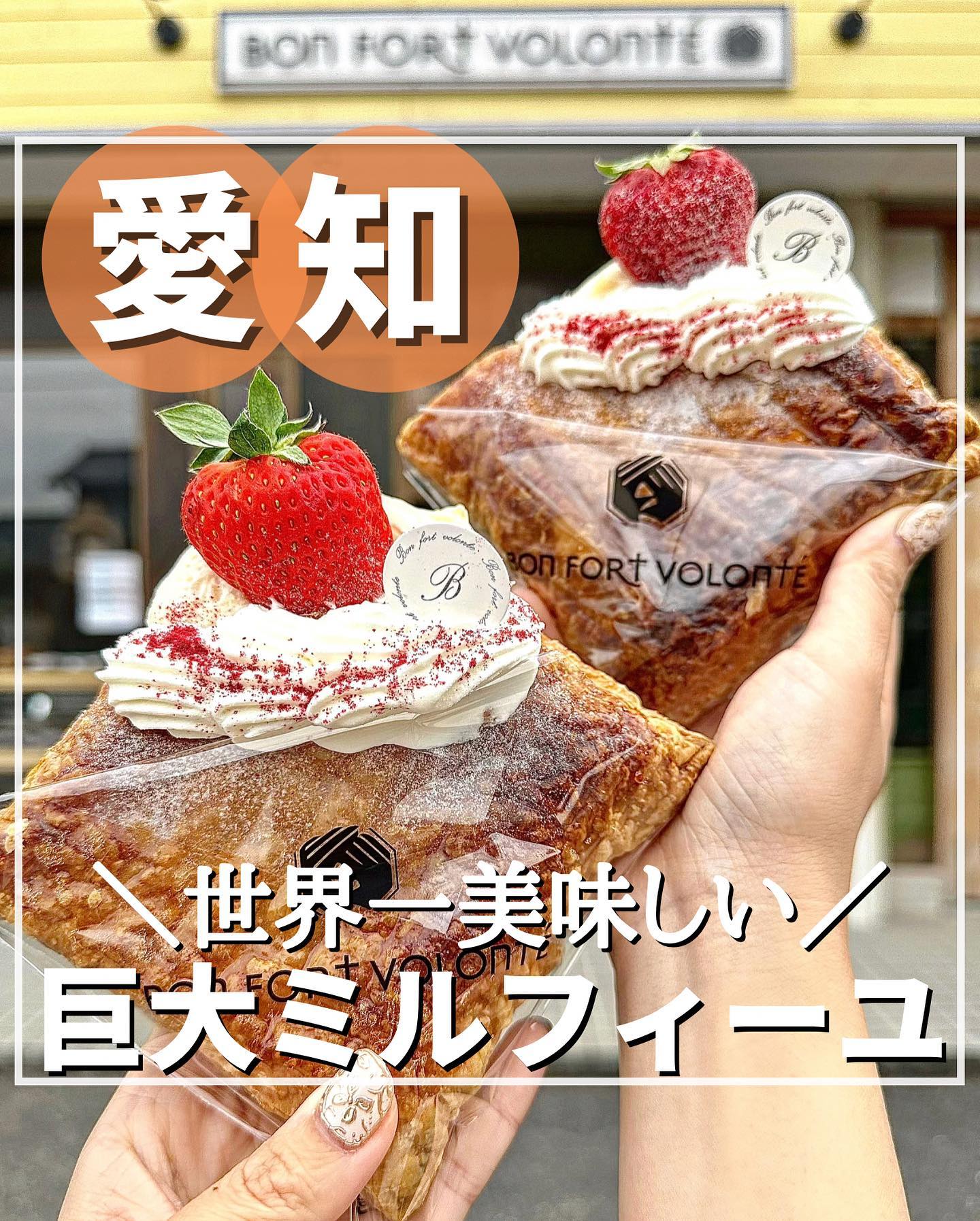 ボンフォートヴォロンテ(bon fort volonte) 半田店