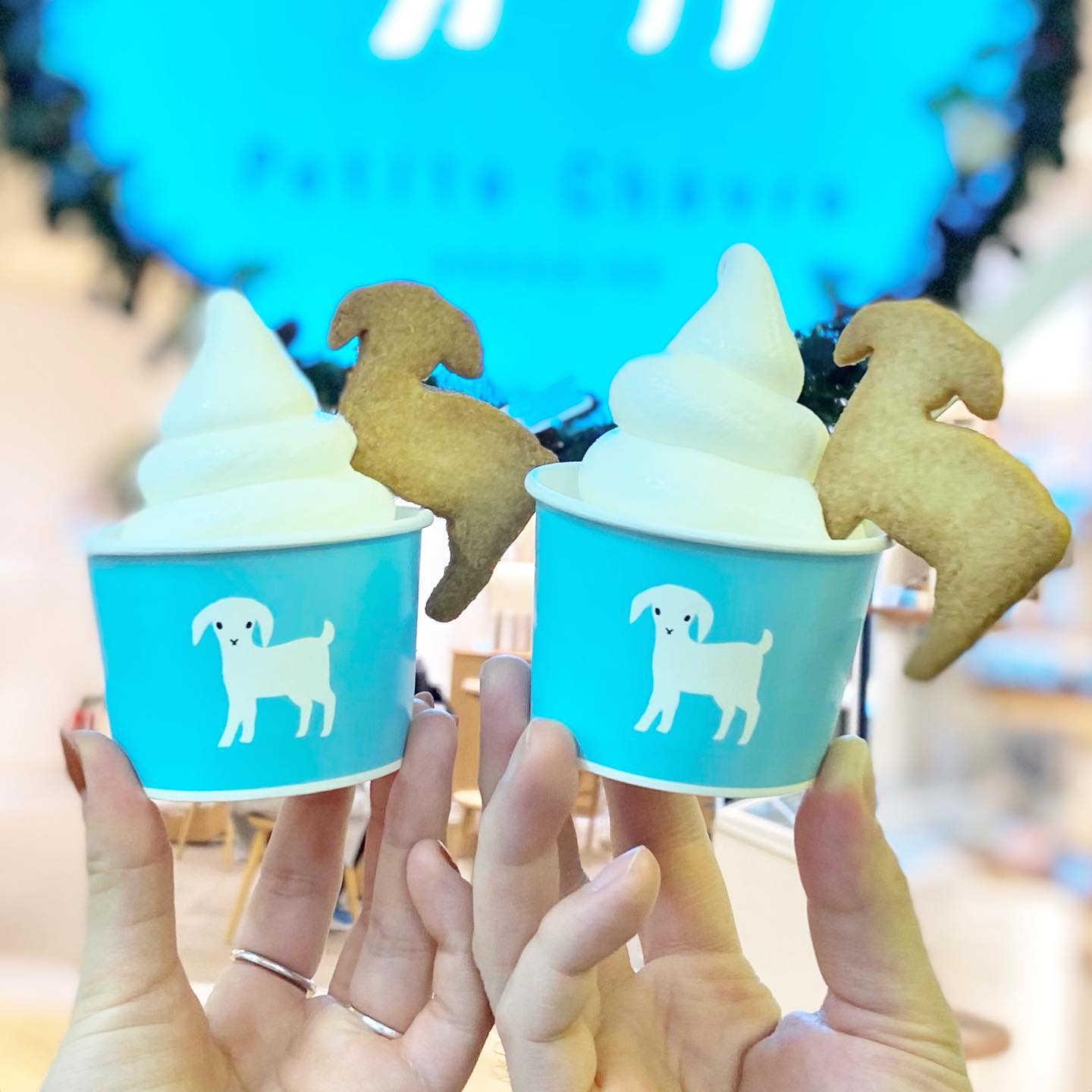 プティ・シェーヴルHOKKAIDO〜やぎミルク専門店〜