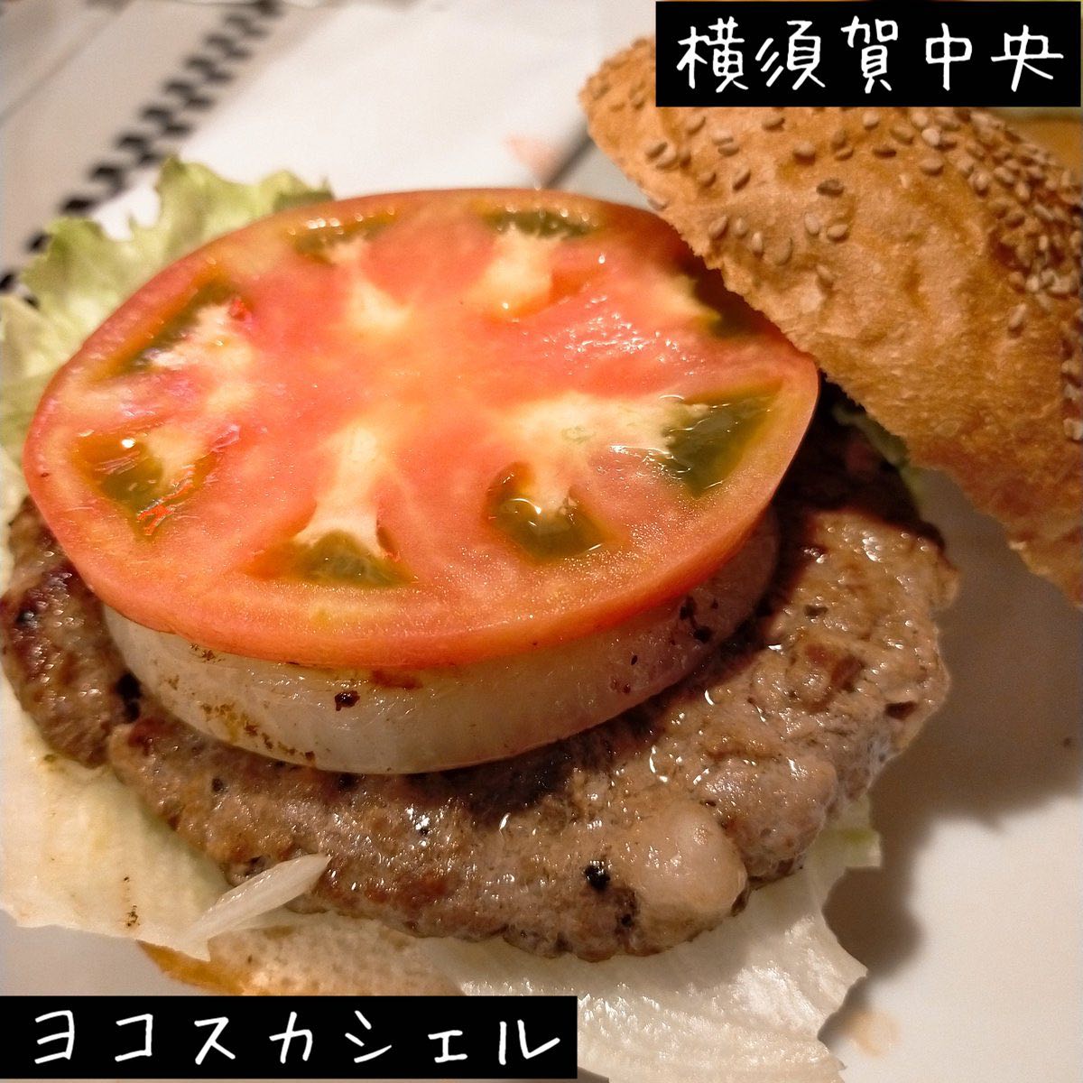 ヨコスカシェル