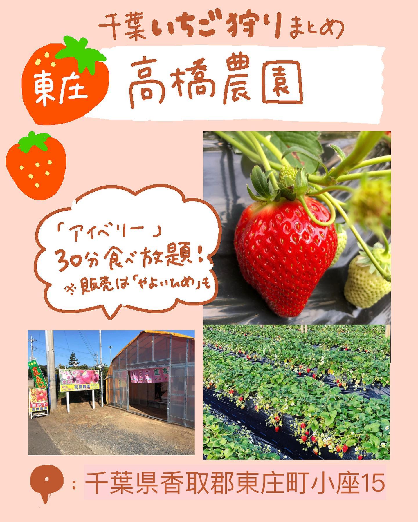 高橋農園いちご直売所