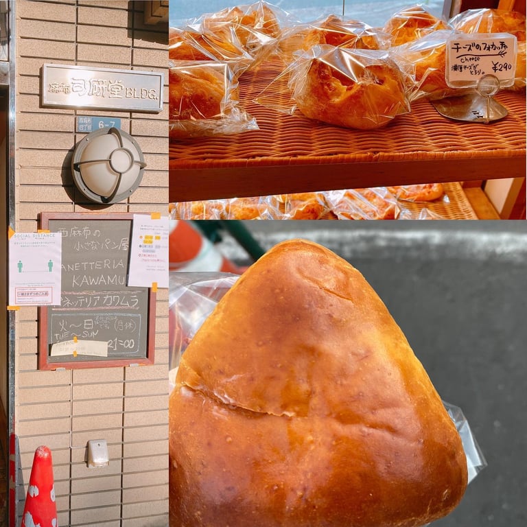 パネッテリアカワムラ