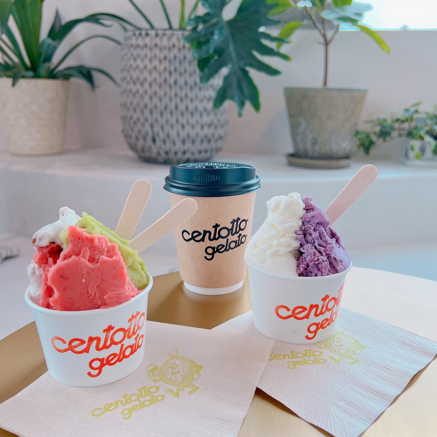 チェントットジェラート