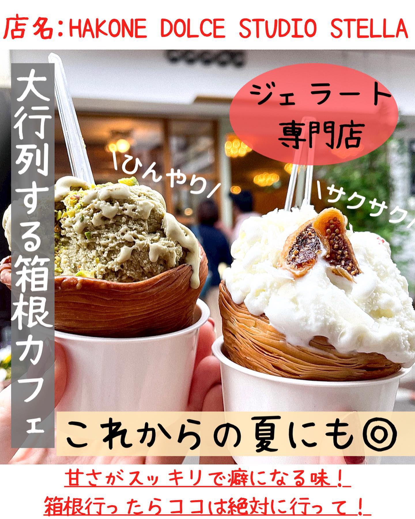 Hakone Dolce studio STELLA