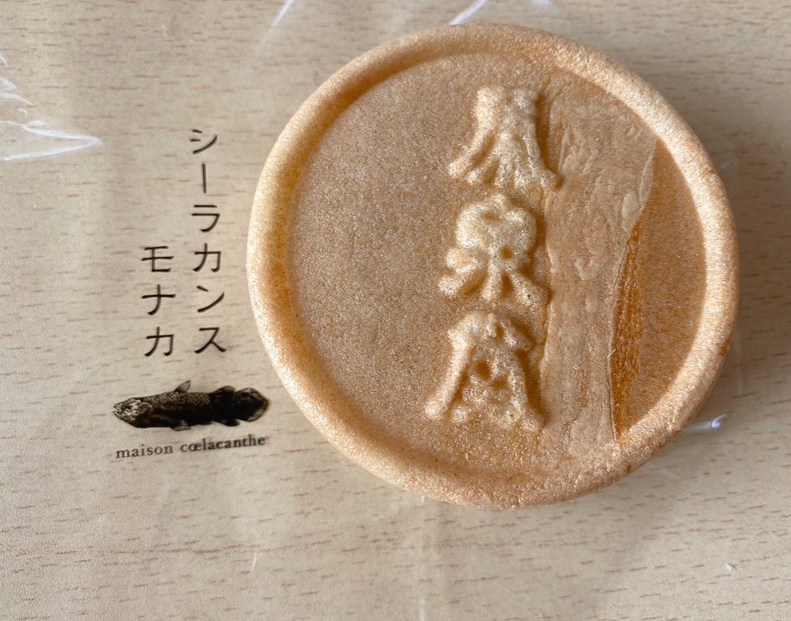 maison cœlacanthe(メゾン シーラカンス)