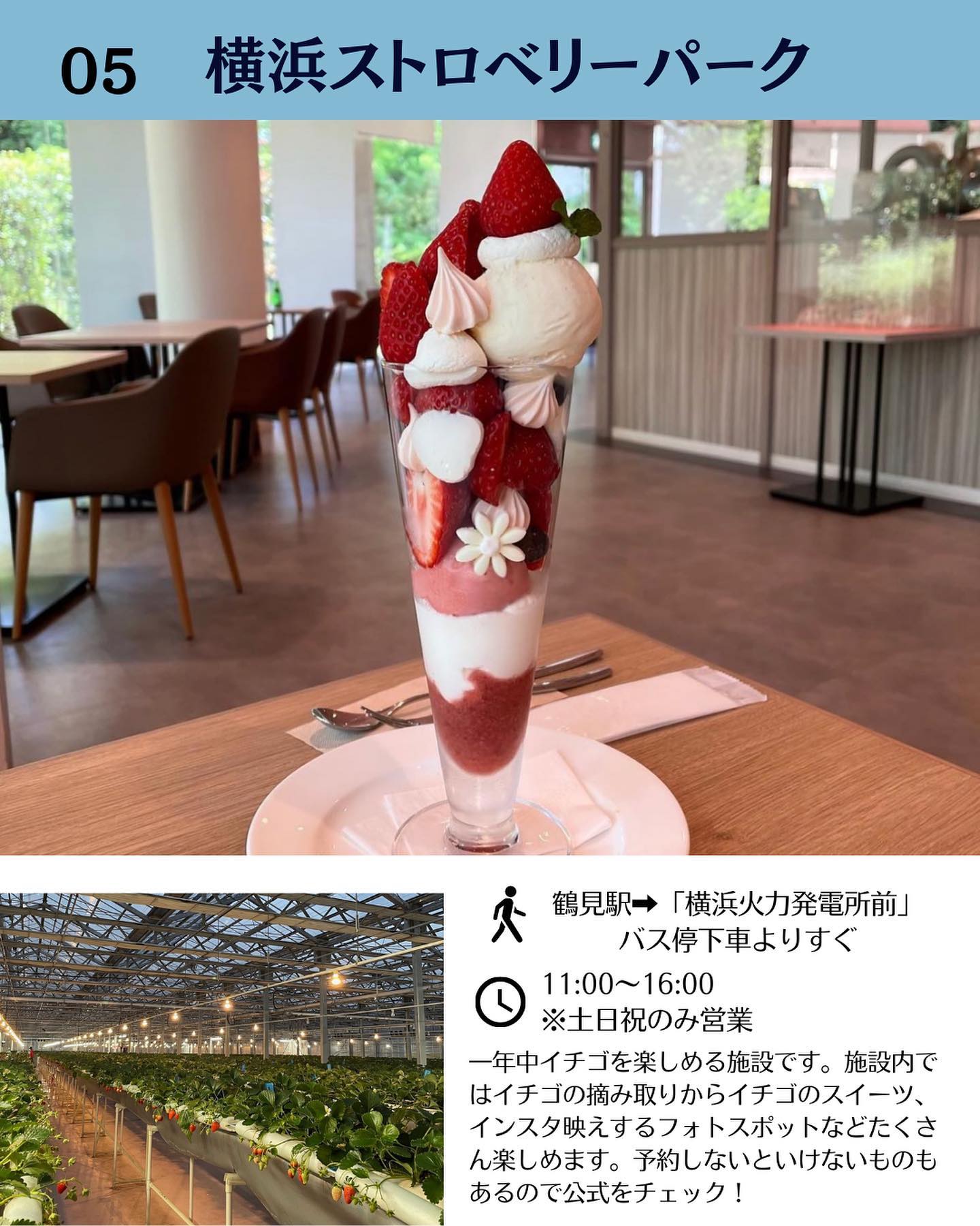 YOKOHAMA STRAWBERRY PARK