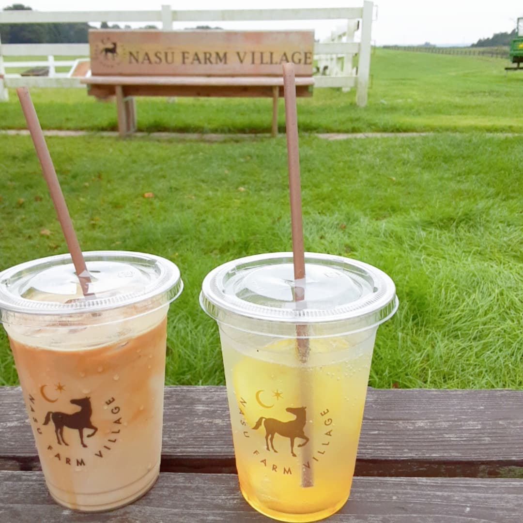NASU FARM VILLAGE入口