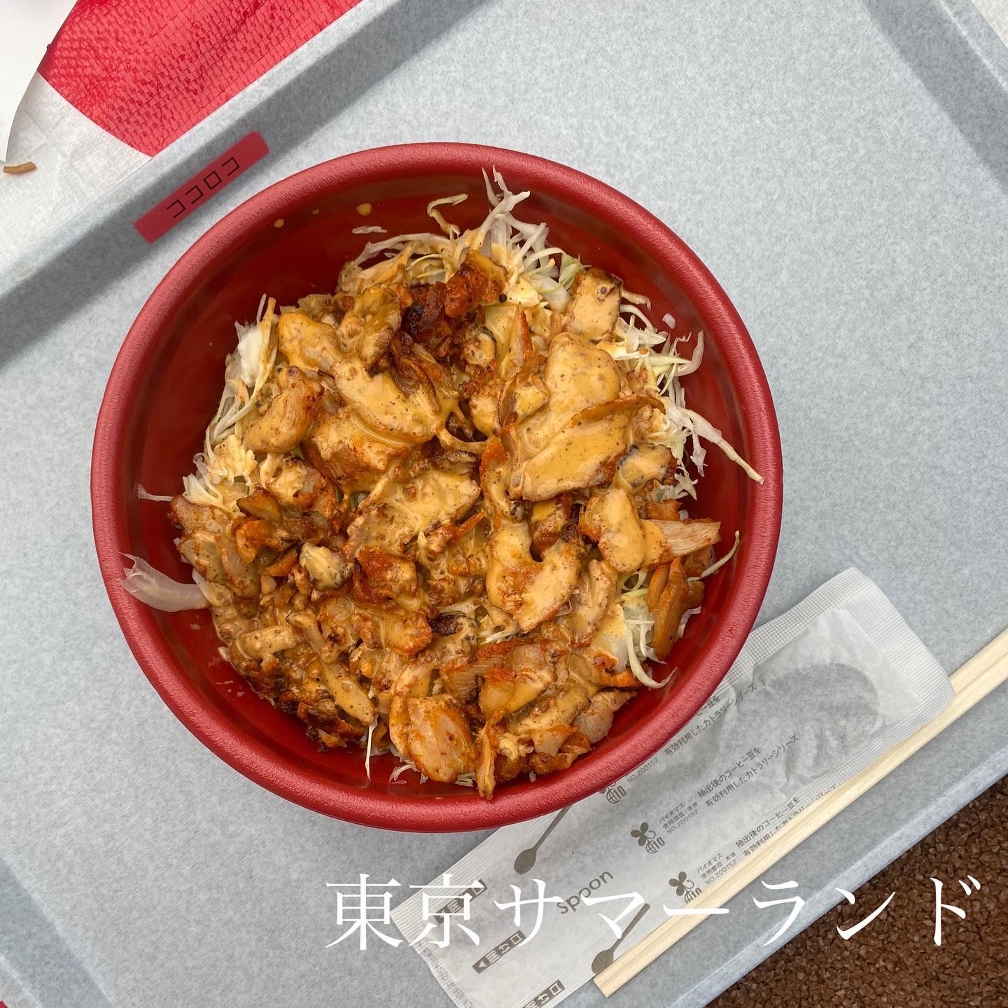 東京サマーランド