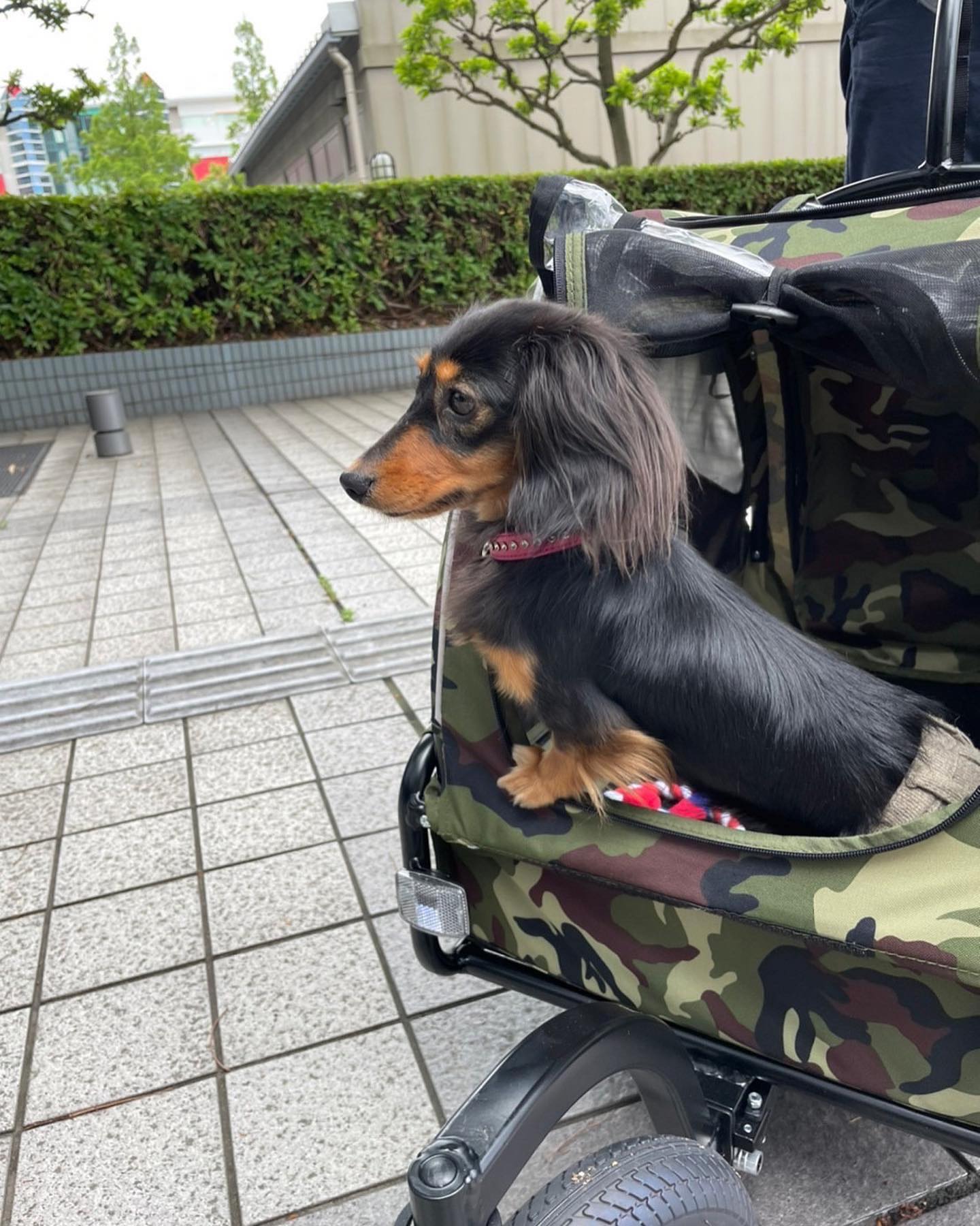 投稿画像 11