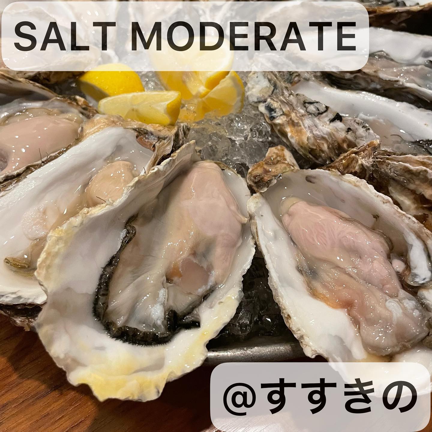 Oyster Bar SALT MODERATE