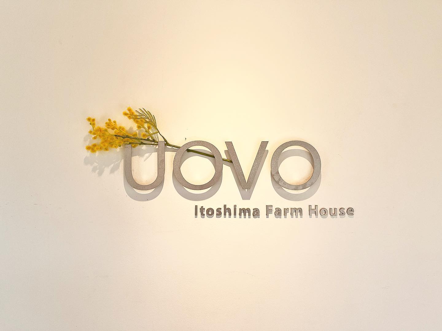 糸島カフェ ファームハウス UOVO