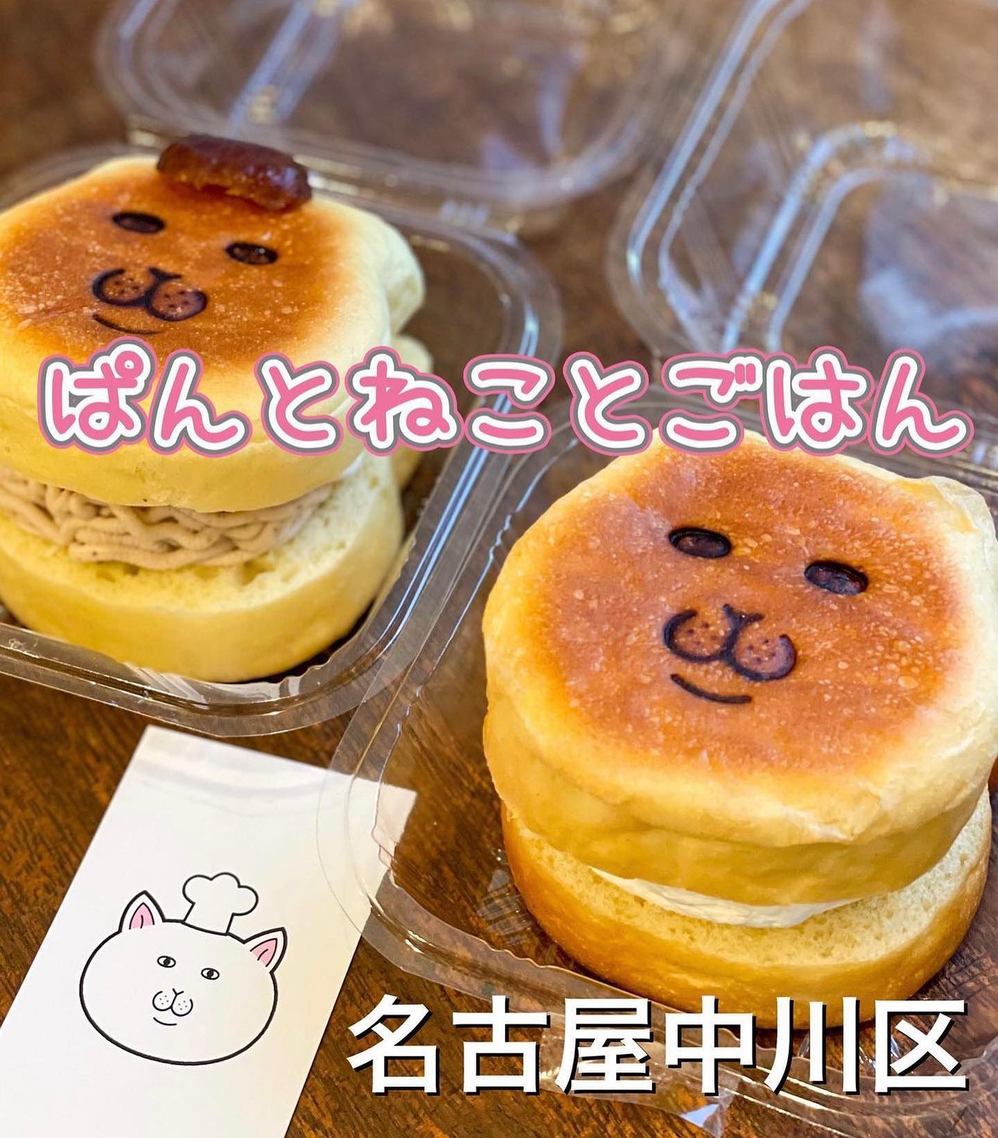 ぱんとねことごはん