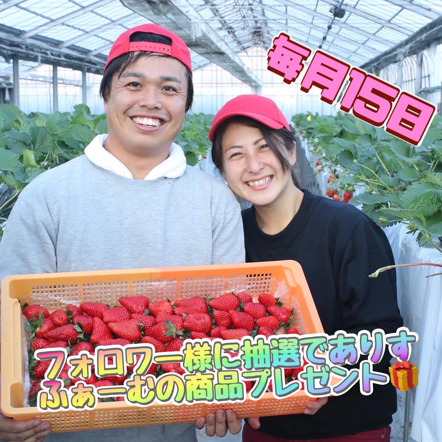 苺のありすふぁーむ