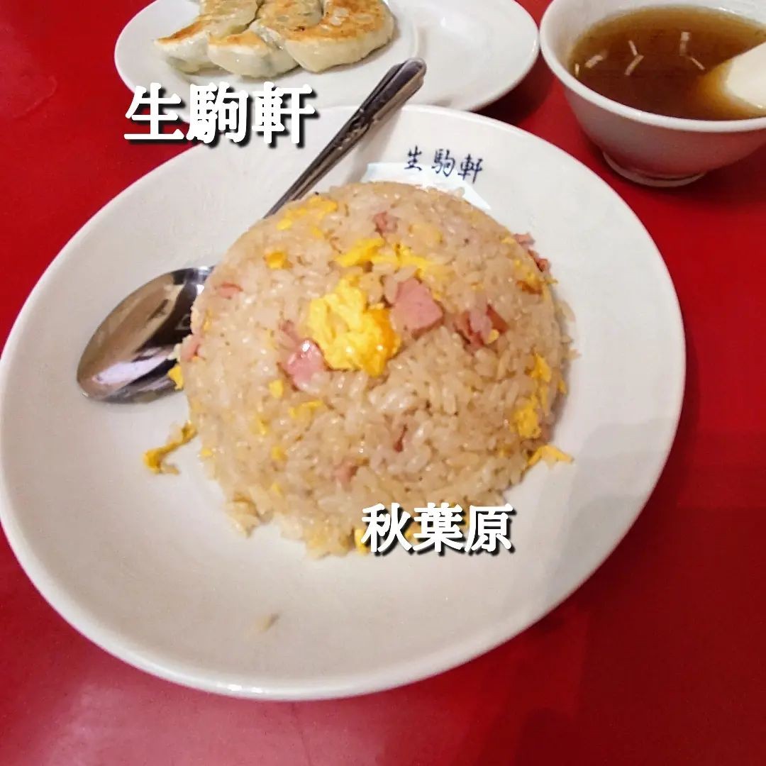 生駒軒 秋葉原店