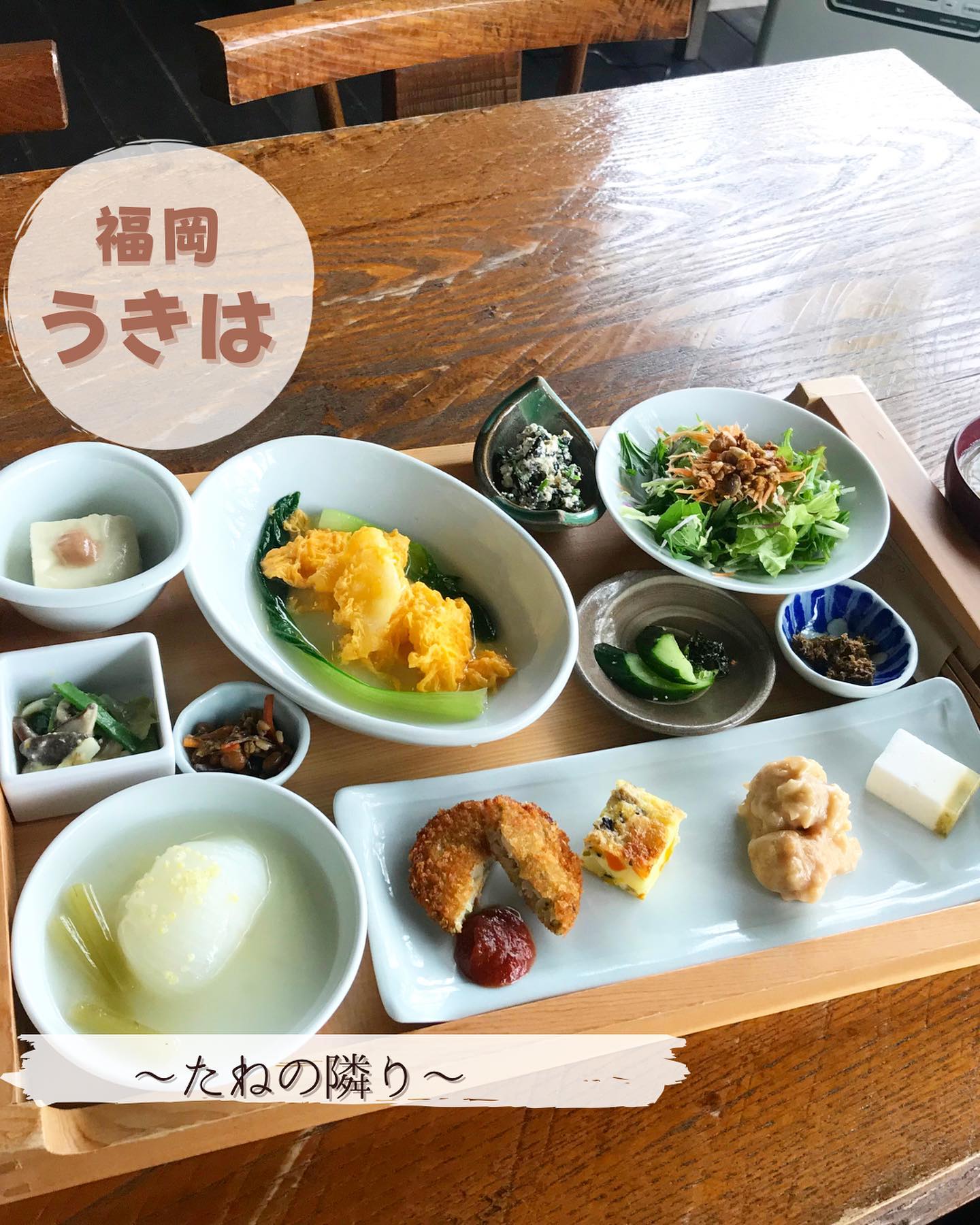 cafe たねの隣り