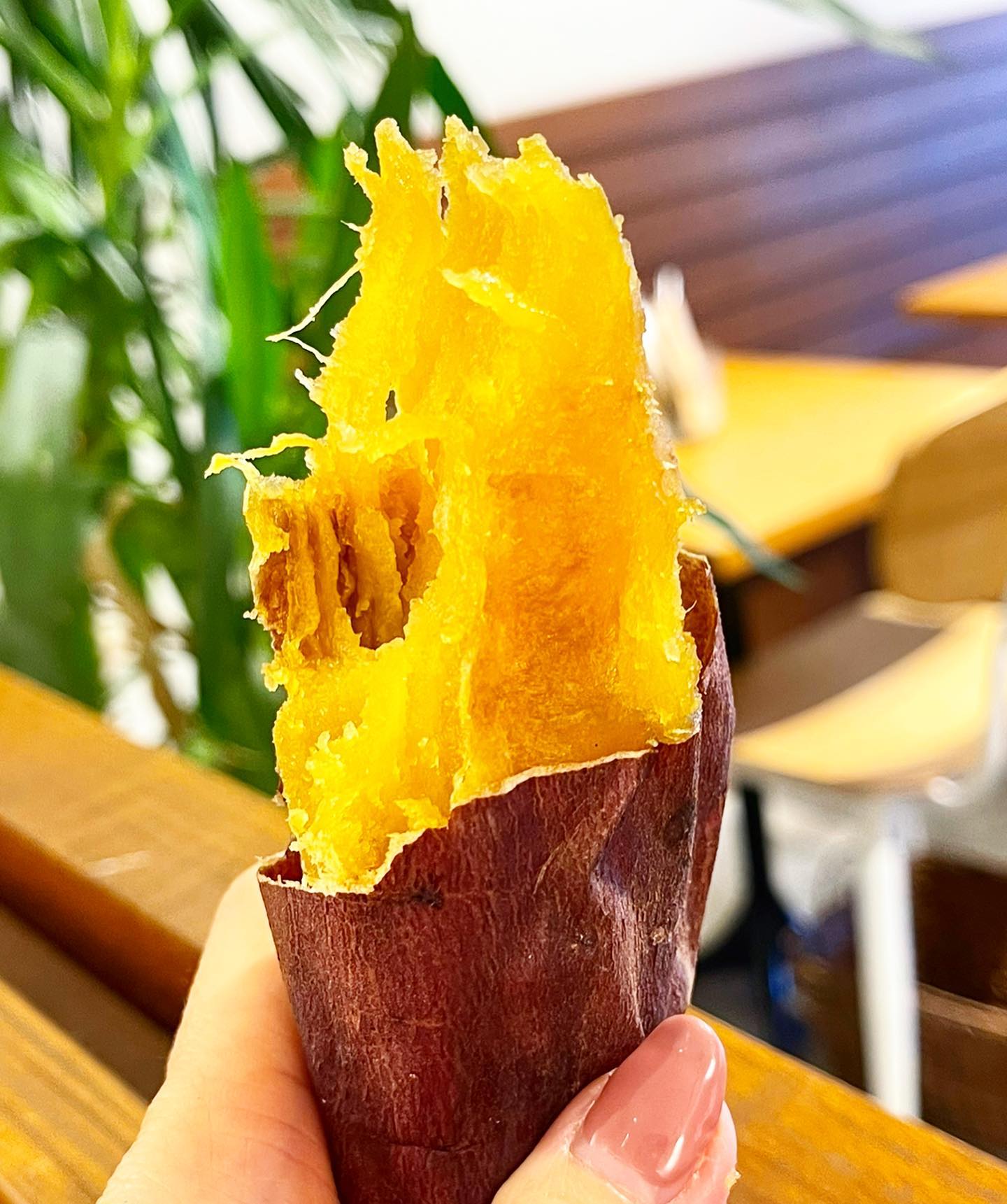 投稿画像 7