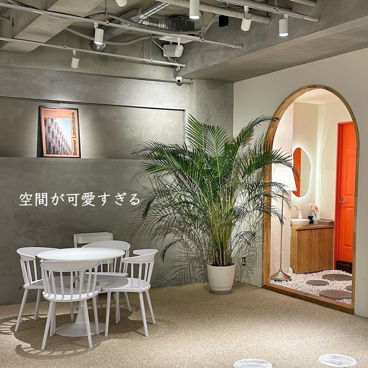 投稿画像 5