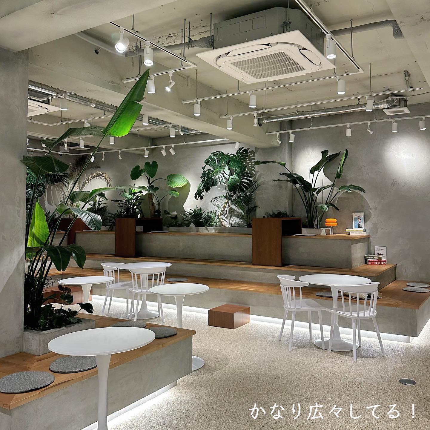 投稿画像 6