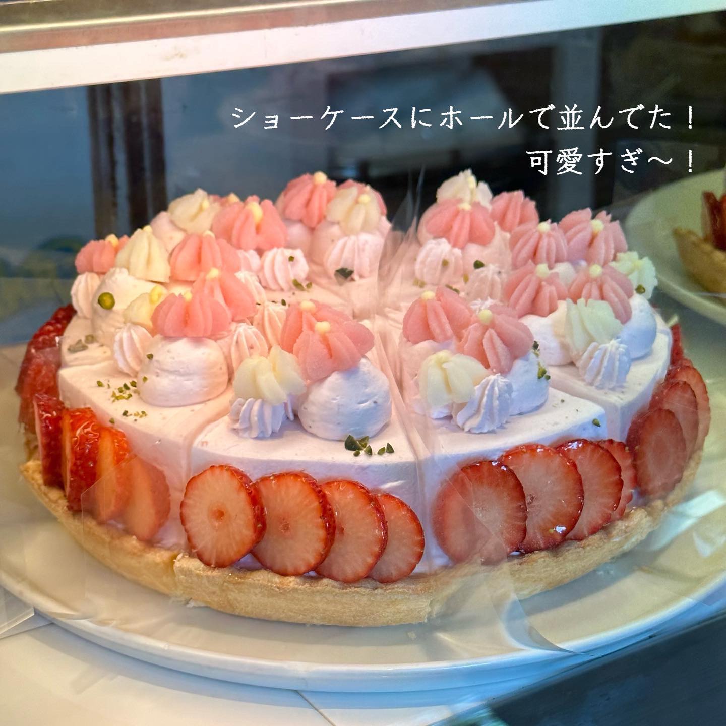 投稿画像 4