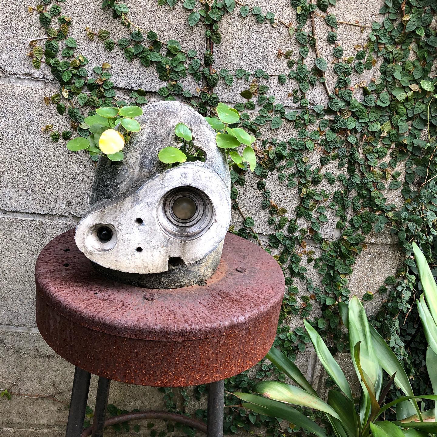 カリオモンズコーヒーロースター