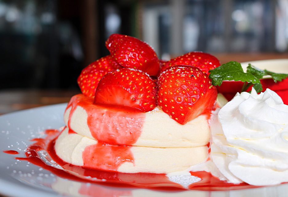 穂高ドッグラン・カフェN36°