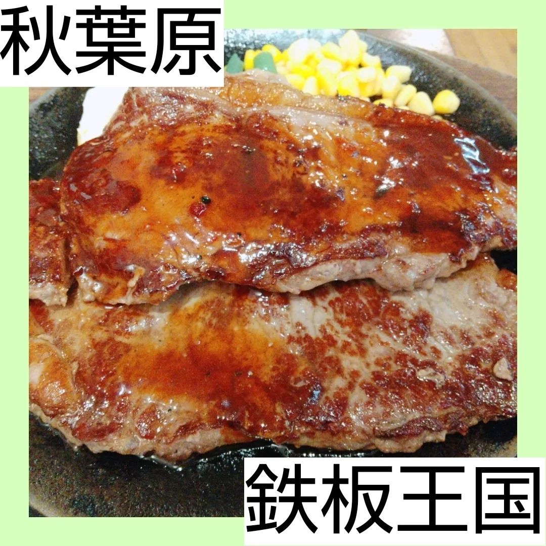 鉄板王国 秋葉原店