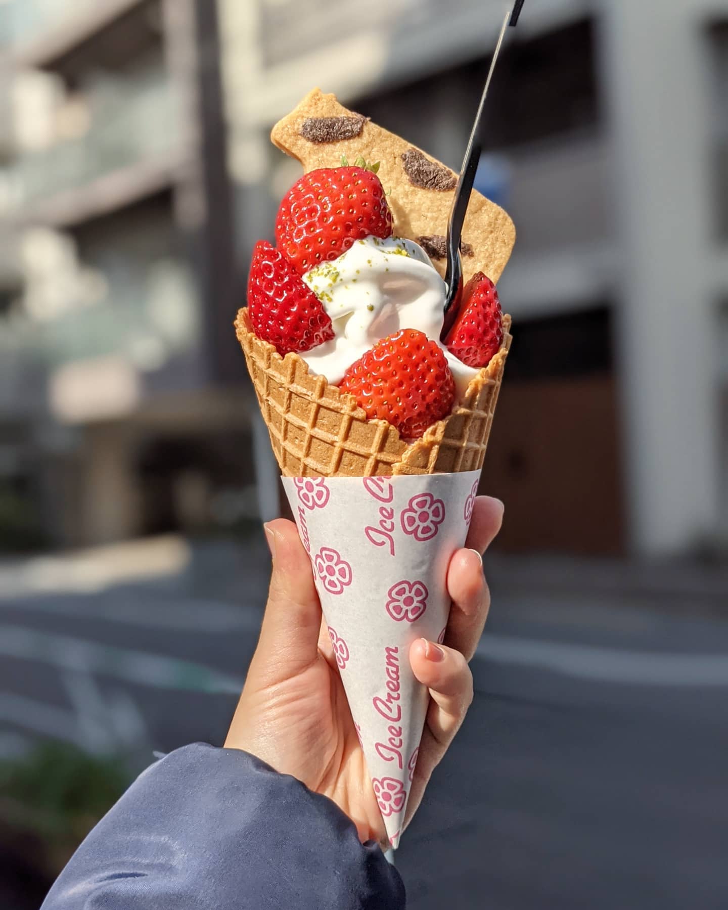 投稿画像 4