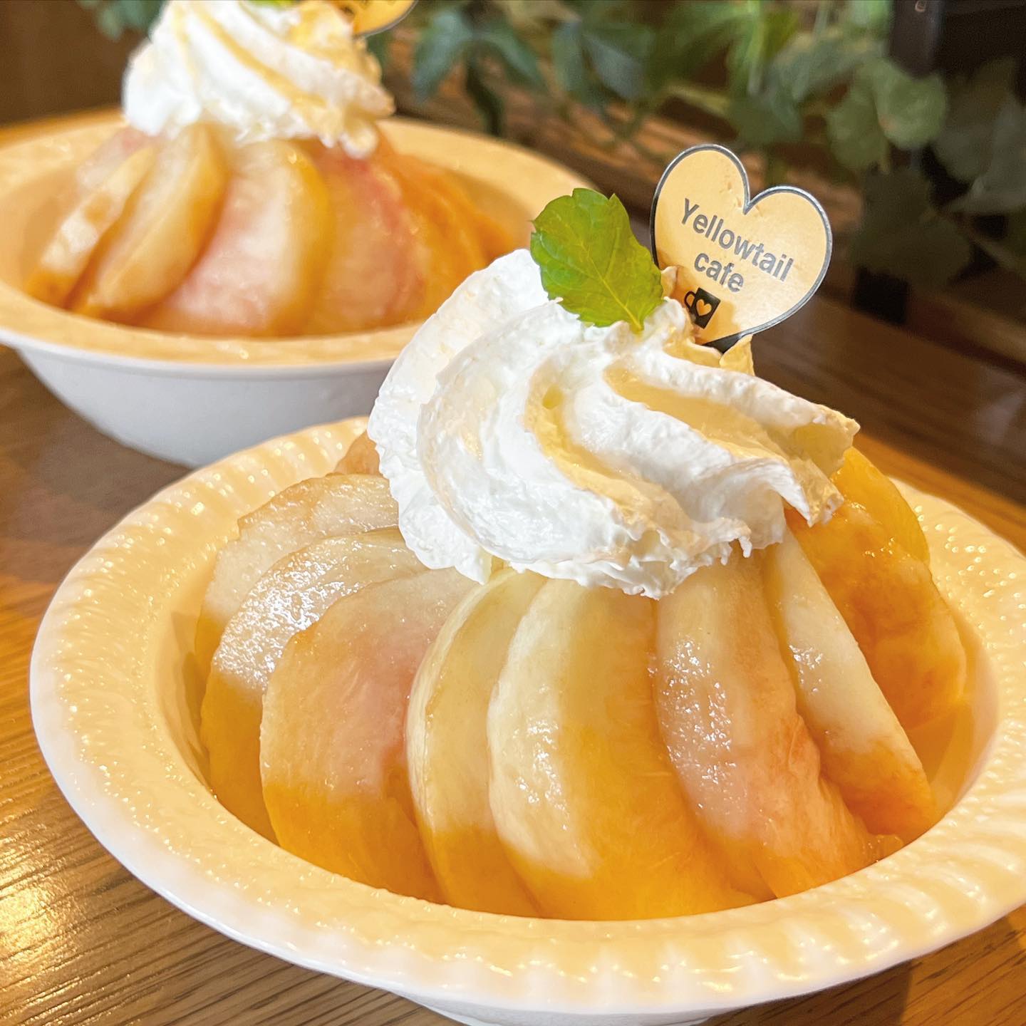 サニーオーチャード 名古屋みなとアクルス店