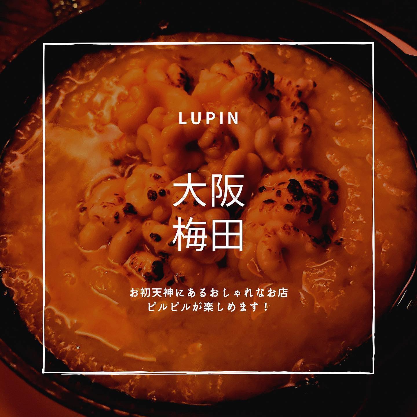 ピルピル&生ハム専門店 Lupin