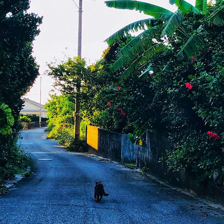 投稿画像 7