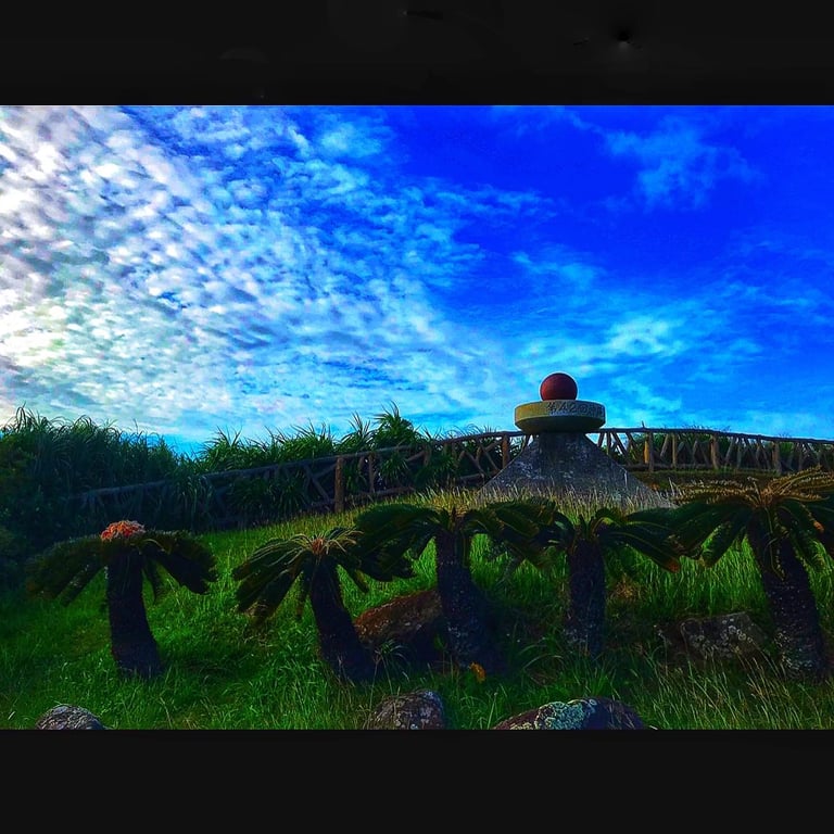 投稿画像 8
