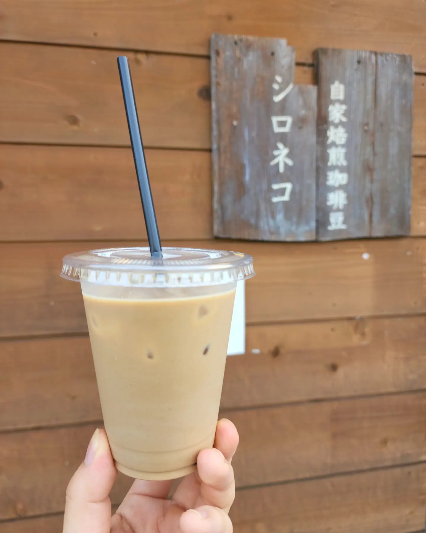 自家焙煎珈琲豆 シロネコ