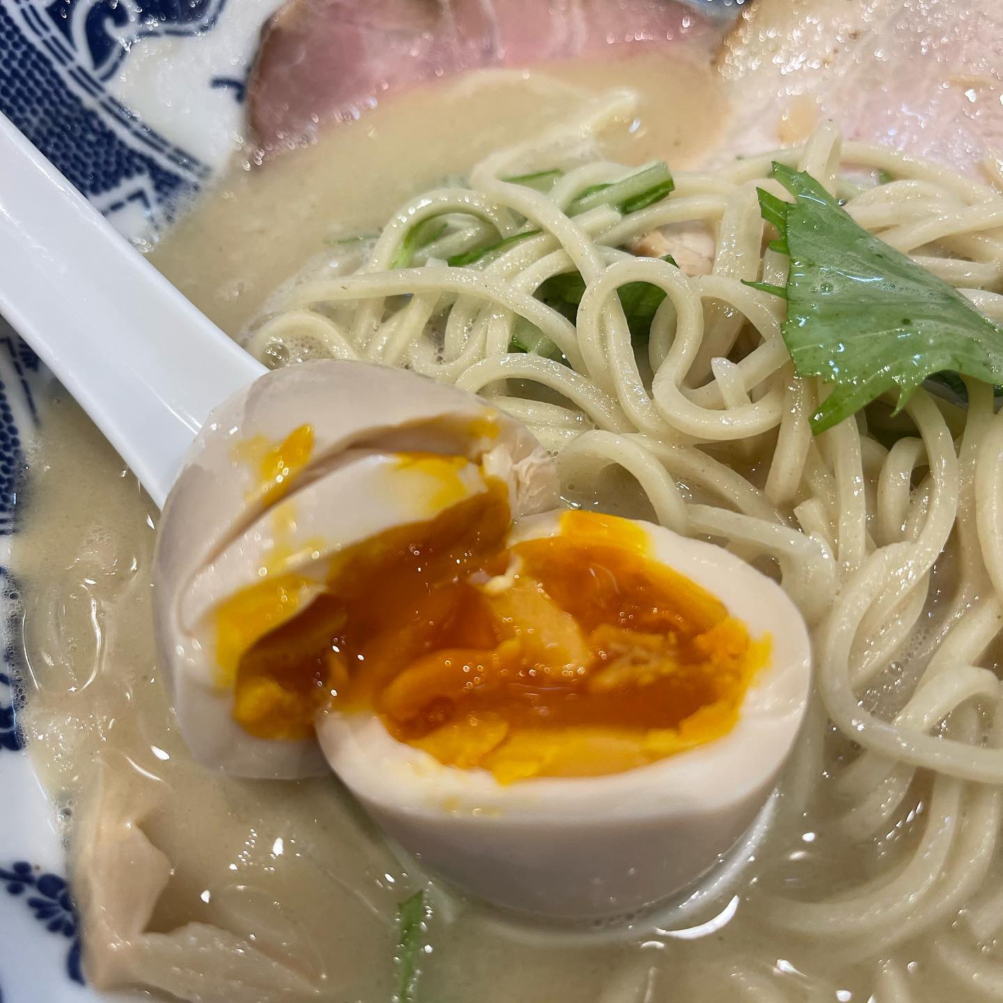 投稿画像 6