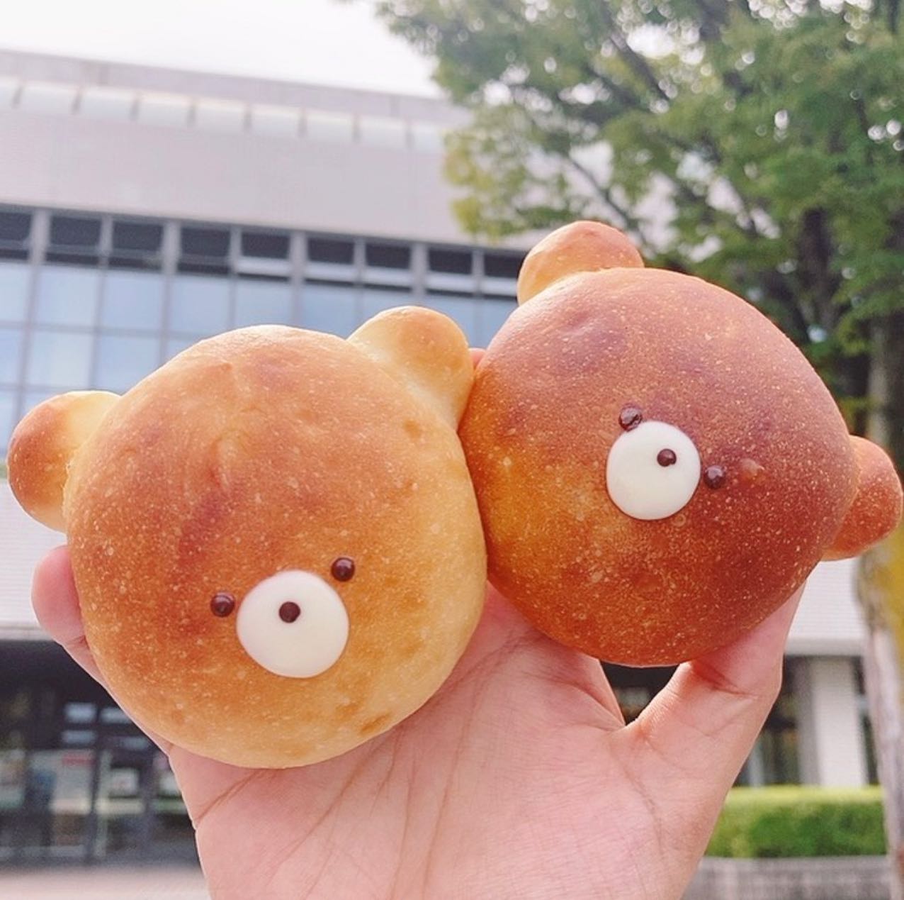 ベーカリー&カフェたいいくぱん