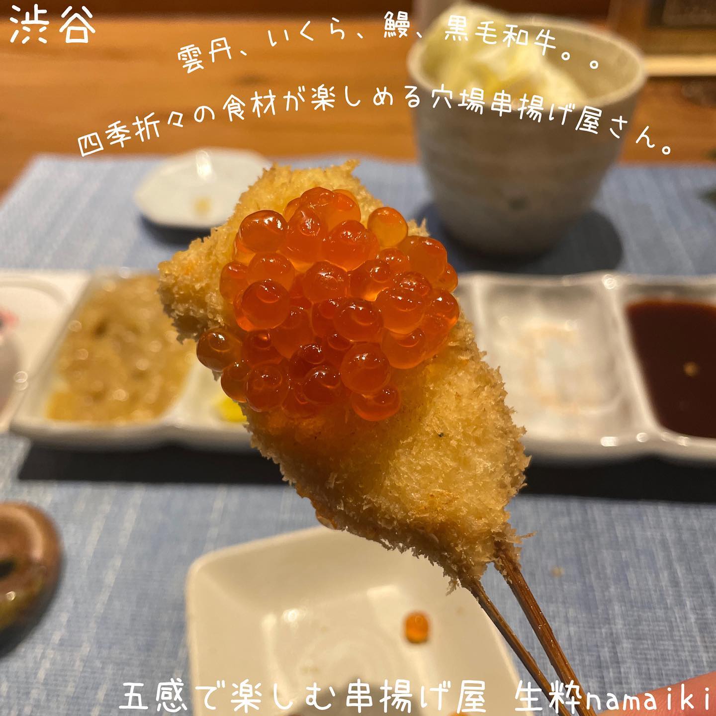 五感で楽しむ串揚げ屋 生粋namaiki