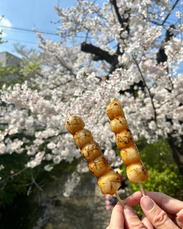 二ヶ領用水宿河原桜並木