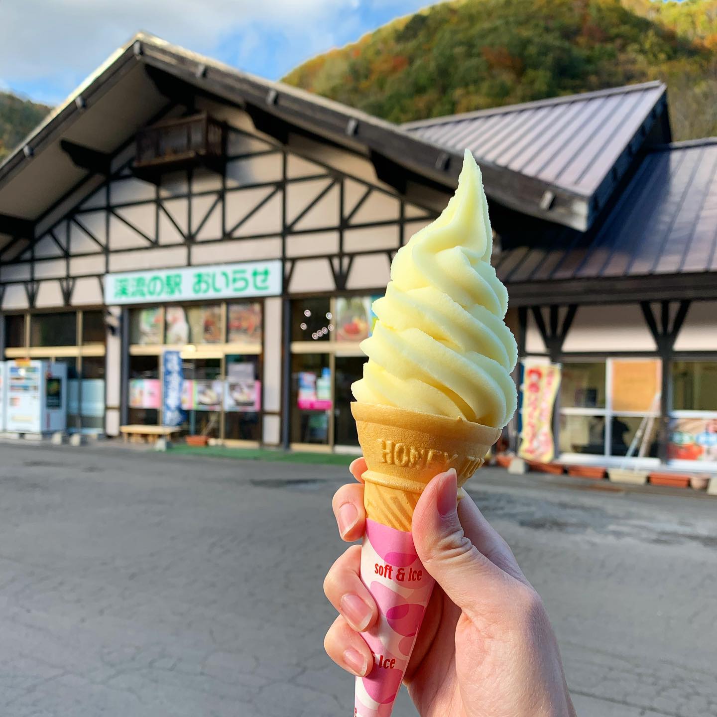 渓流の駅おいらせ