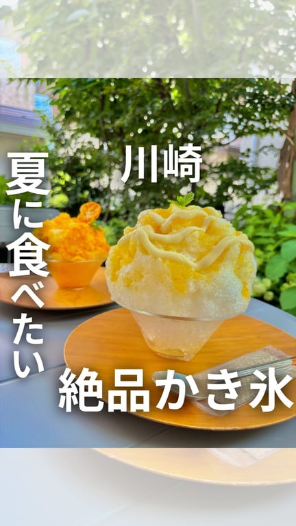 SETOUCHI HIDAMARI KAKI-GORI 鷺沼店