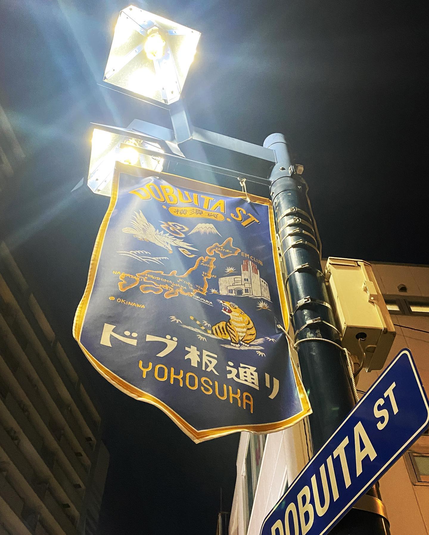 小田原ナイトバーズ