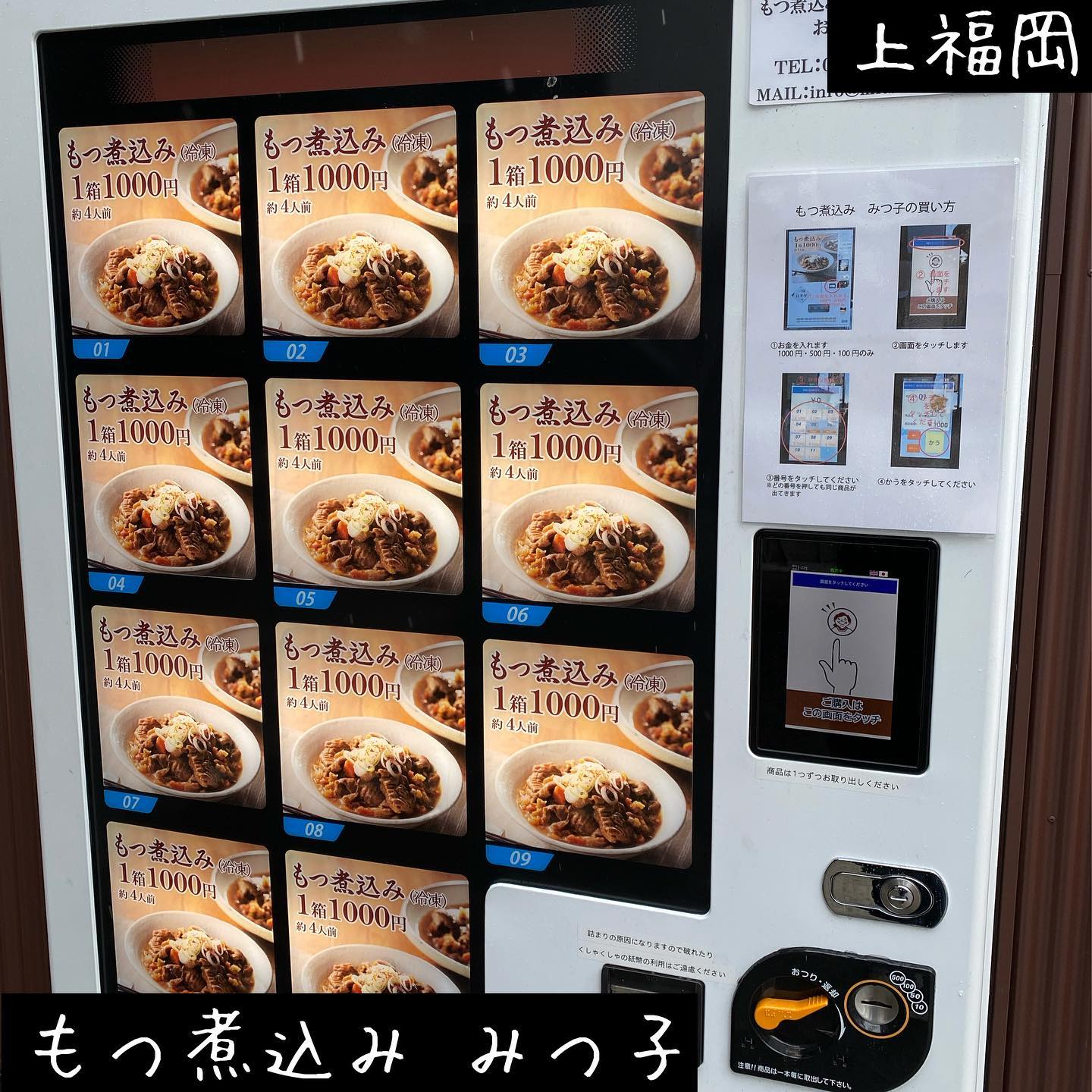 もつ煮込み みつ子