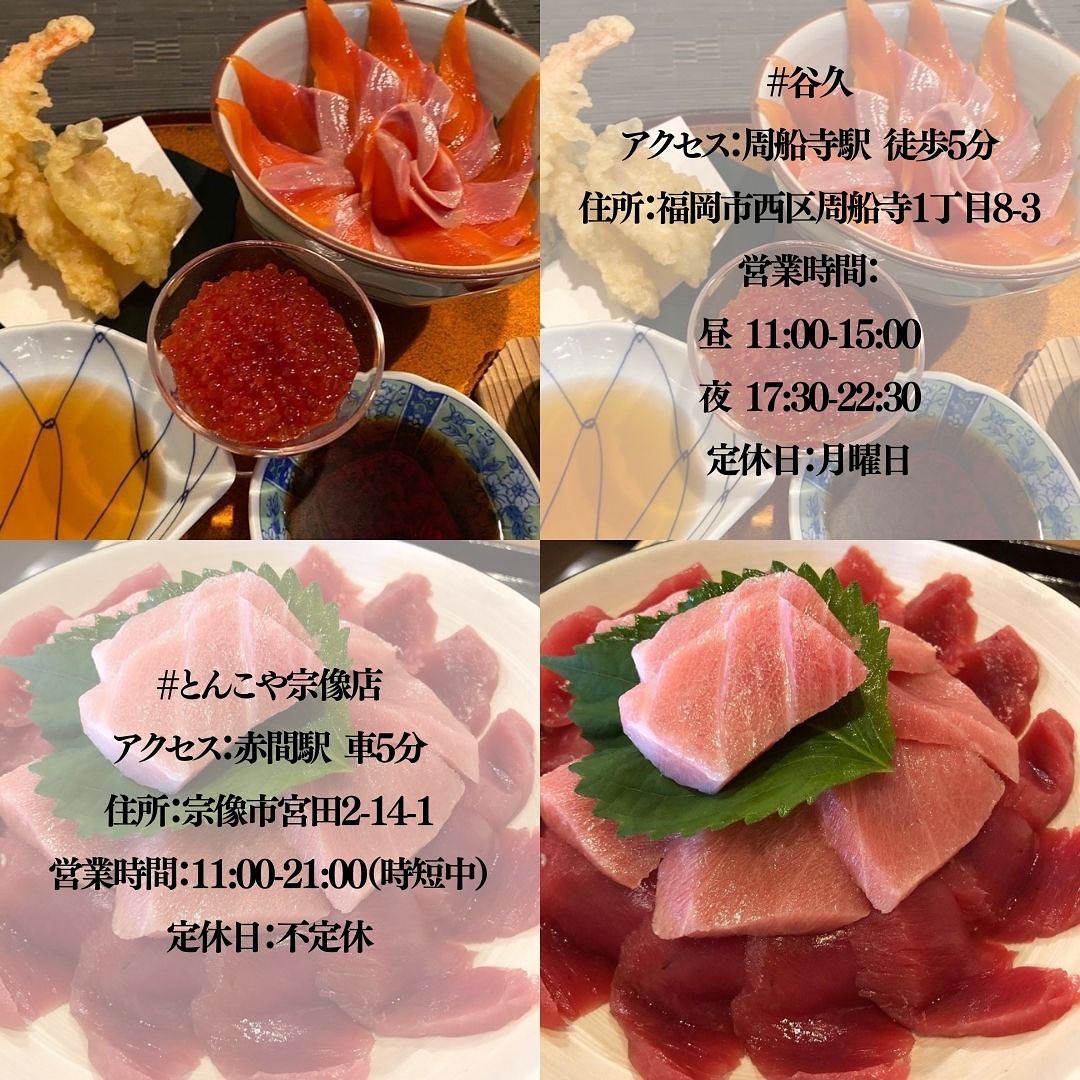 とんこや 宗像店