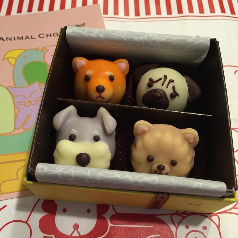 ゴンチャロフ マルイファミリー海老名