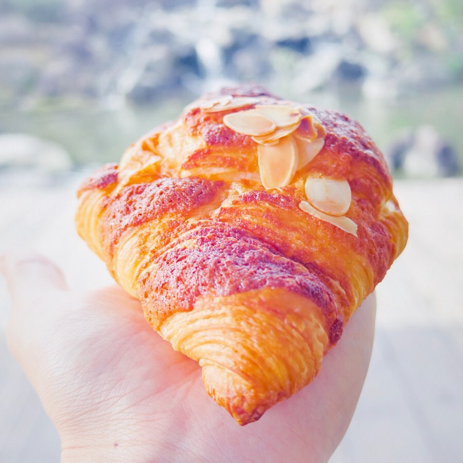 プラリネ 高崎小鳥店