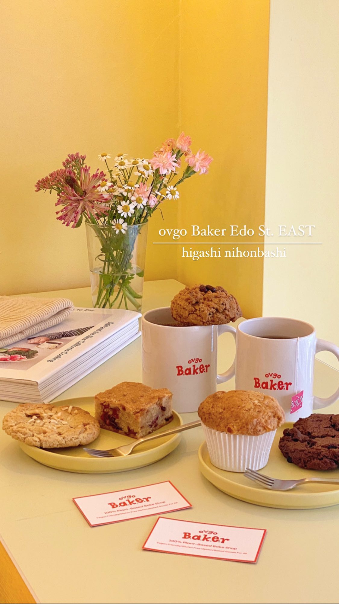 ovgo B.A.K.E.R Edo St.