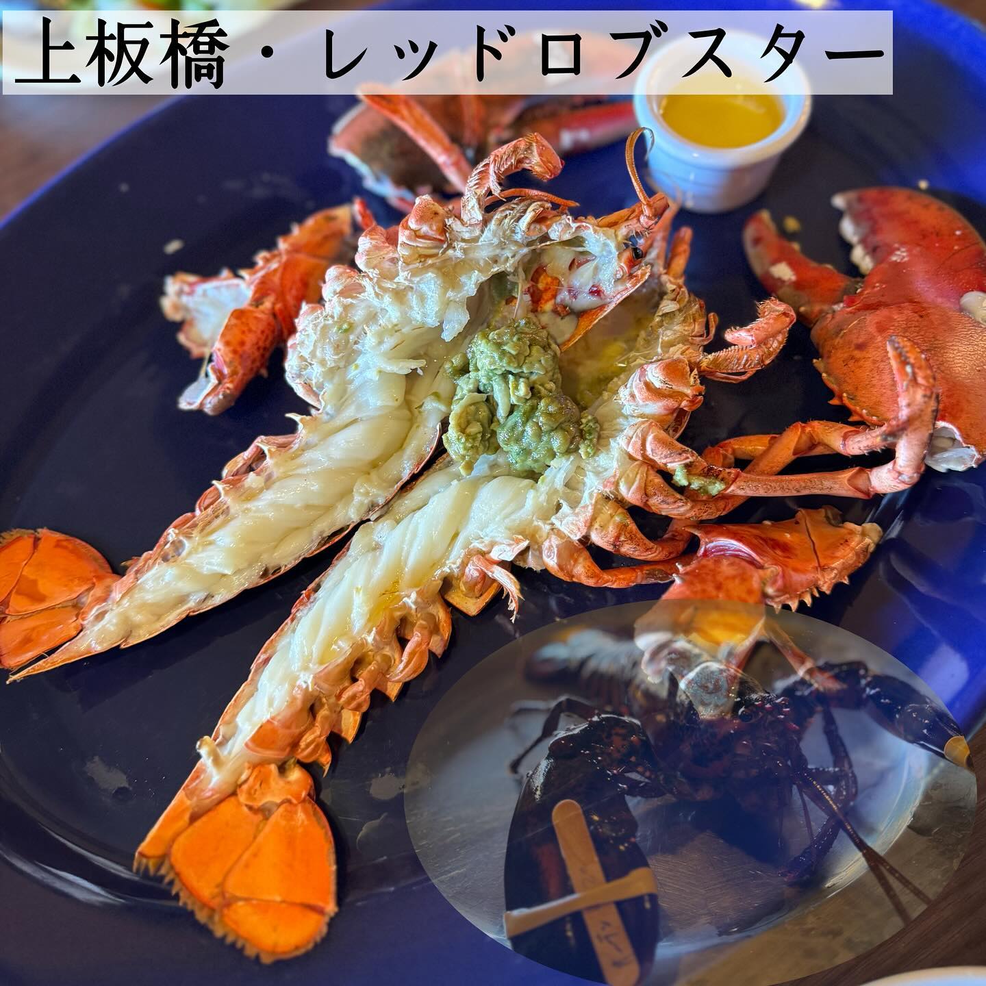 レッドロブスター 上板橋店