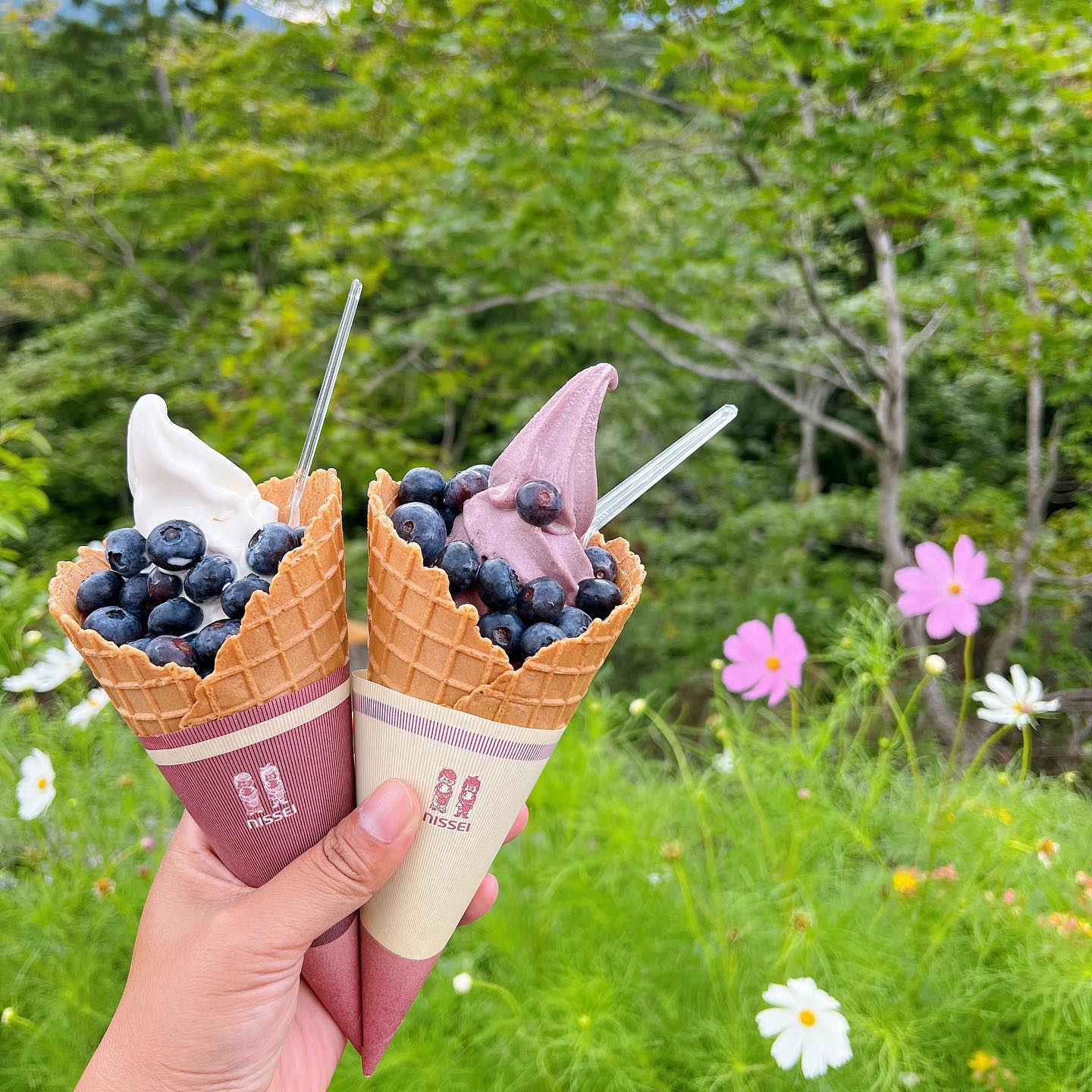 ブルーベリー園まつき