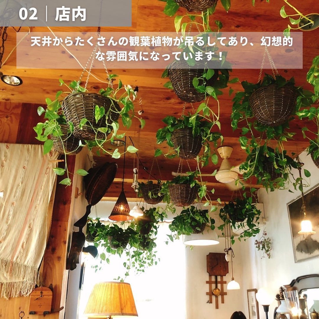 投稿画像 3