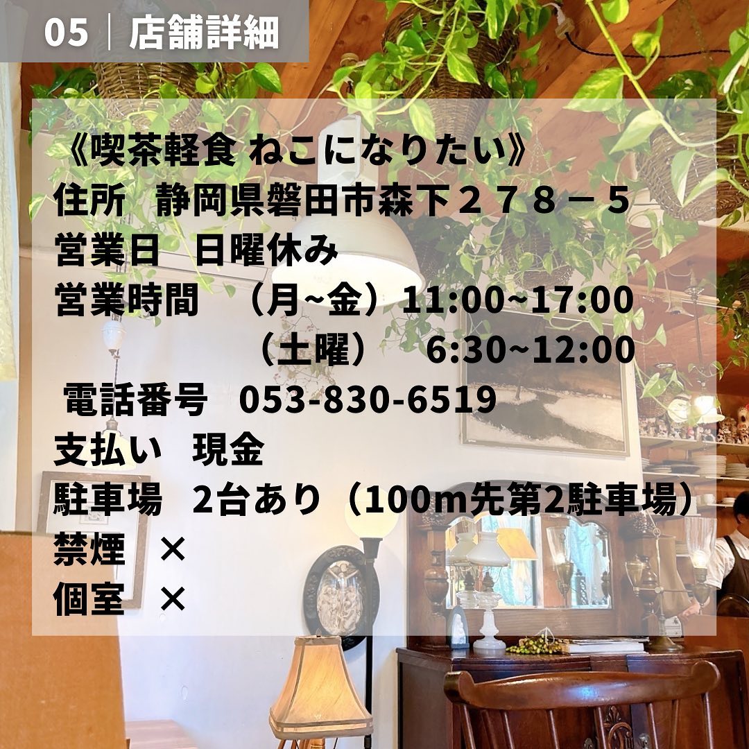 投稿画像 7
