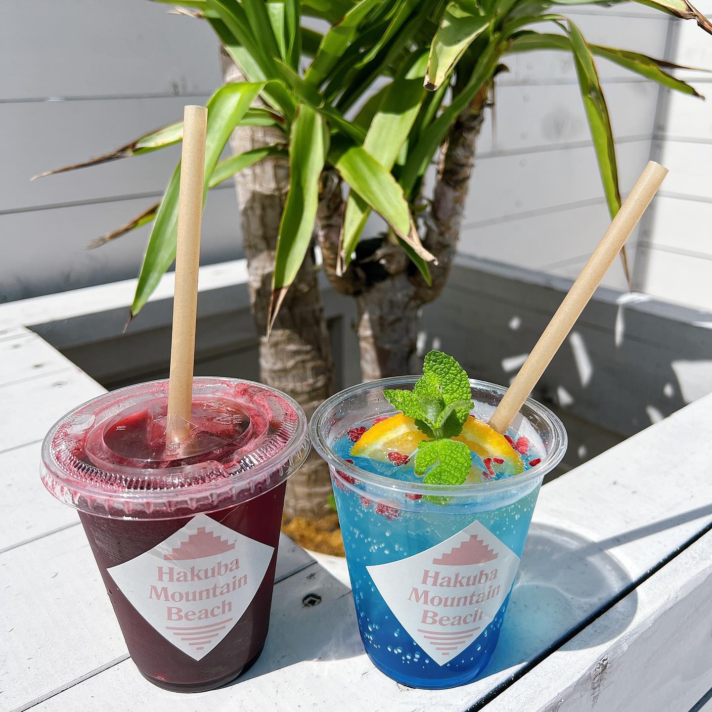 うさぎ平テラス