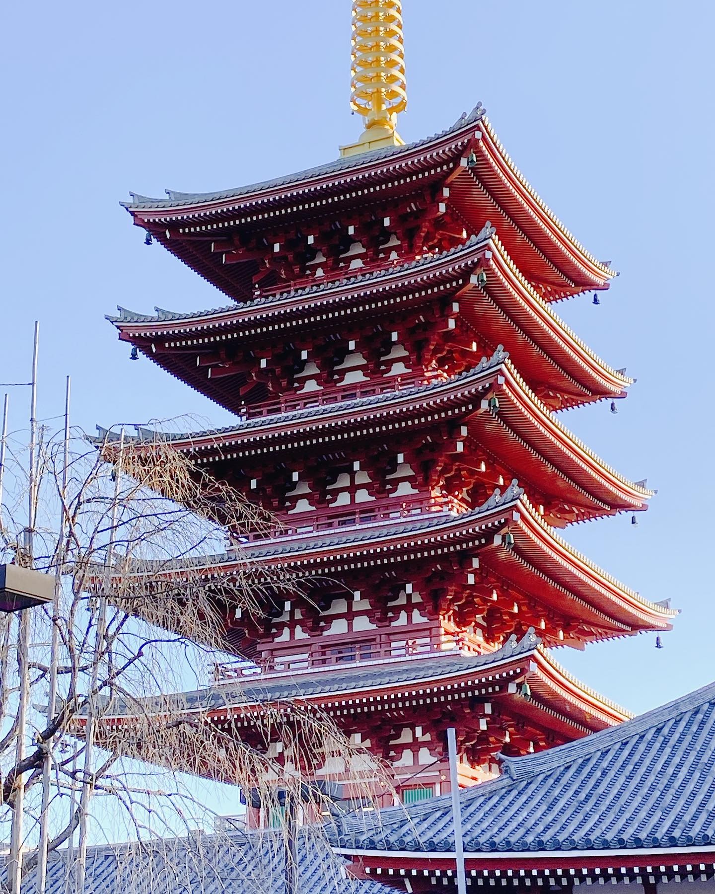 投稿画像 6