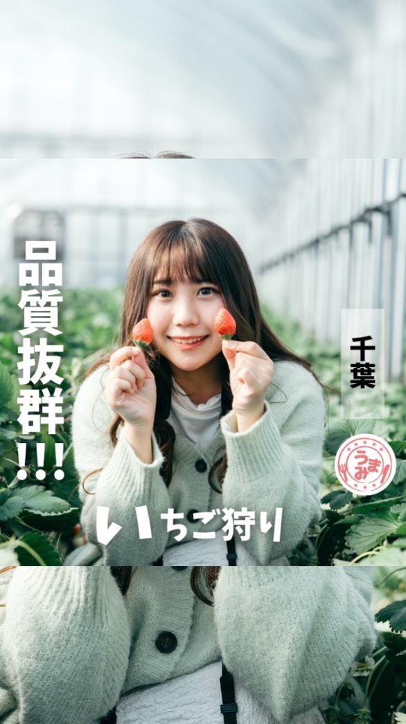 ちあきのいちご園